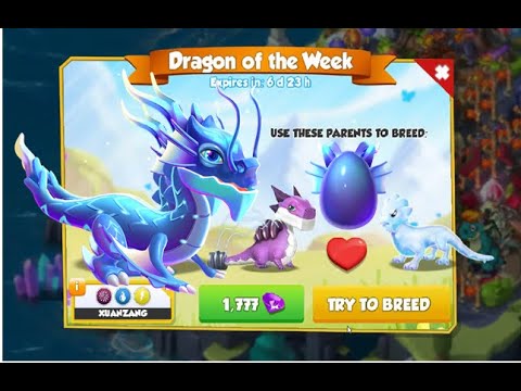 How to breed Xuanzang Dragon-Dragon Mania legends | Daily Bingo event | DML