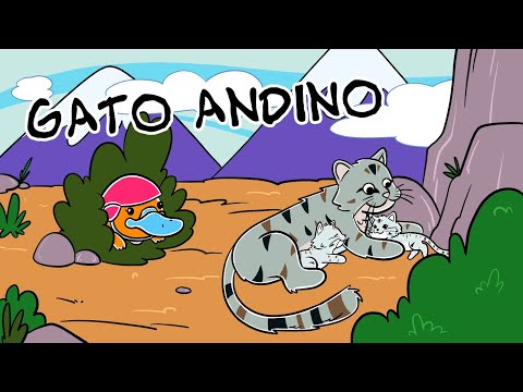 Hola Flinko - Gato Andino / Capítulo 1 Completo Temporada 1