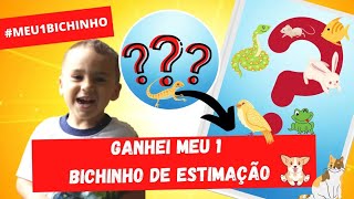 MEU PRIMEIRO BICHO DE ESTIMAÇÃO- ANIMAL NOS ESTADOS UNIDOS