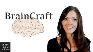 BrainCraft Trailer | PBS Digital Studios