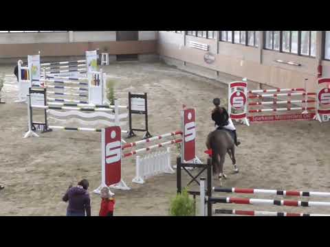 2019 11 23 Oelde Carlotta - Springpferde L und M