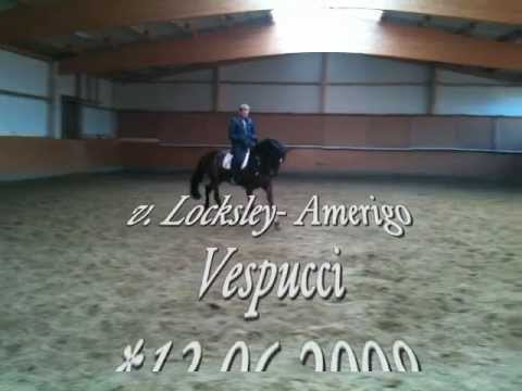 Locksley I.WMV (sold)