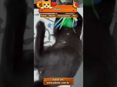 Vídeo de Miguel 
