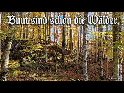 Bunt sind schon die Wälder [German folk song][+English translation]