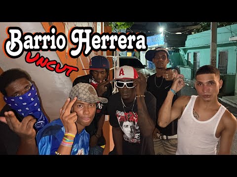 Welcome to Herrera: Raw Street Hood Vlog w/ @skirybronx