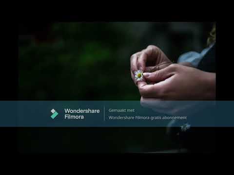 Willy Sommers - Is dit het afscheid