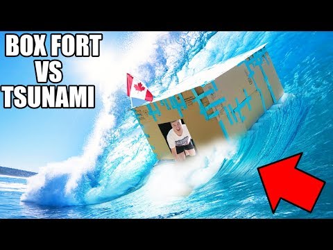 BOX FORT BOAT VS TSUNAMI CHALLENGE! 📦 Video