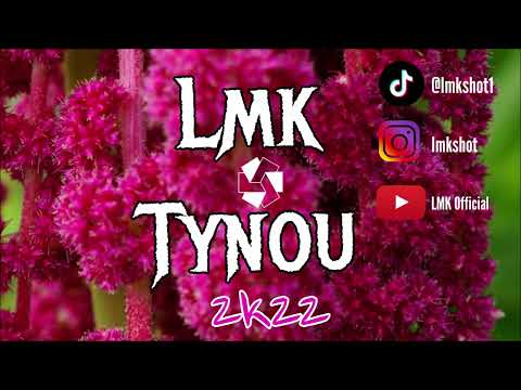 LMK × TYNOU - Spicy (2k22) zouk remix