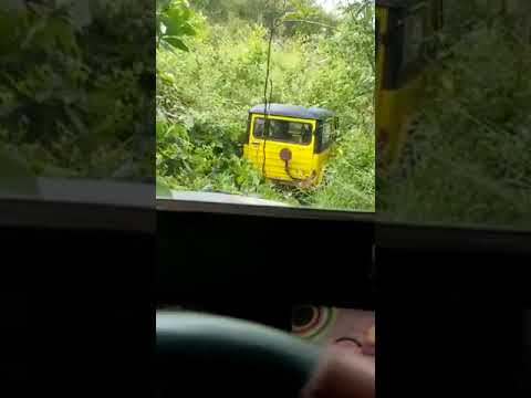 wow trabas hutan lebat