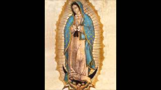 Hail Mary, Holy Mary, Mother of God