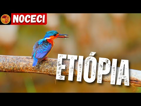 5 Destinos Incríveis para Conhecer na Etiópia