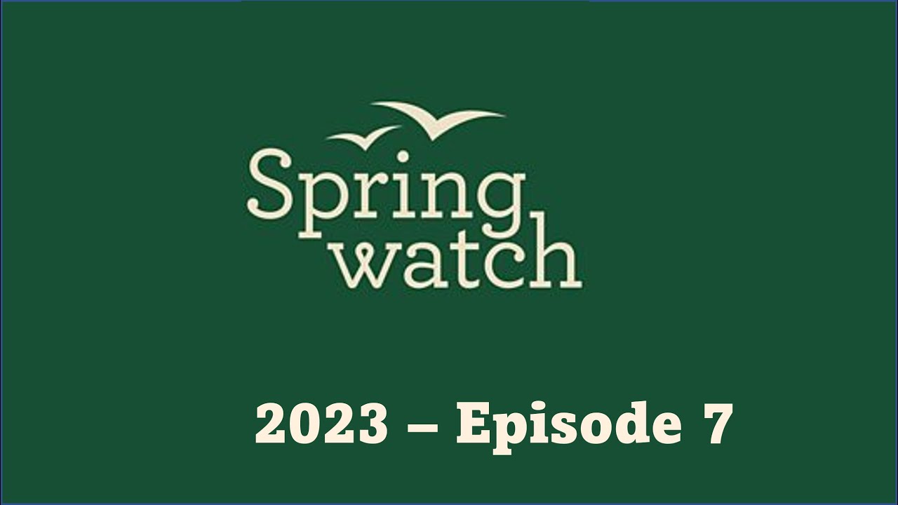 Springwatch 2023   Episode 7