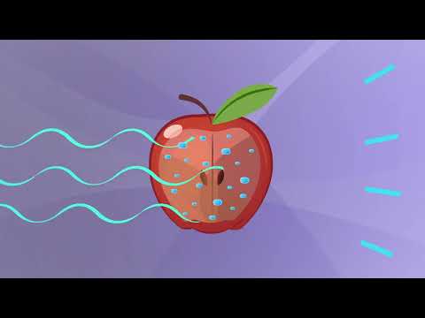 How X rays see through your skin   Ge Wang