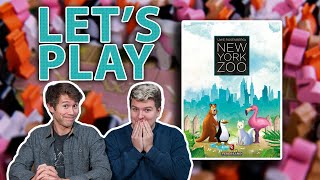 Couple That Loves to Play Board Games - New York Zoo video thumbnail