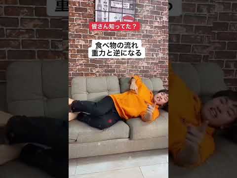 ご飯食べた後左を下にして寝るのNG【豆知識】#shorts