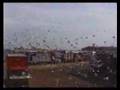 Another Pigeon Racing Musical