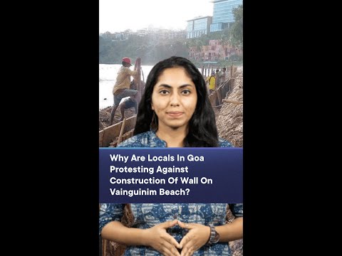 Why Are Locals In Goa Protesting Against Construction Of Wall On Vainguinim Beach?