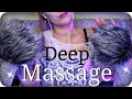 ASMR Deep Brain Scalp Massage NO TALKING Fluffy Ear To Ear Mic Brushing Scratching Stroking