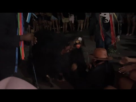 REIS DO QUILOMBO CUSTANEIRA EM SANTA CRUZ DO PIAUÍ 