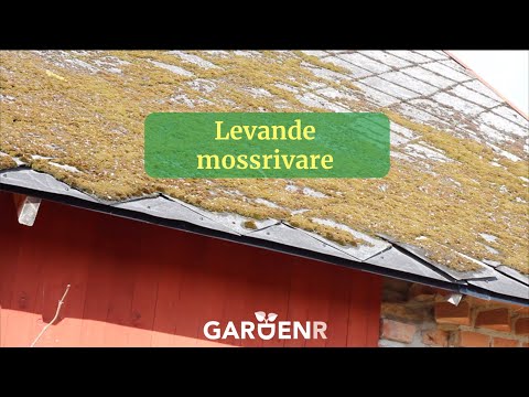 Levande mossrivare - Trädgårdshacks med GardenR