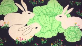 John Vanderslice - If I Live or If I Die