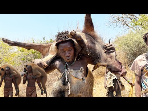 Life of Hunters Hadzabe Documentary Ep 1 | successfully hunts