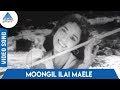 Kaattu Rani Tamil Movie Songs Moongil Ilai Maele Thoongum Pani Neere Video Song P Susheela