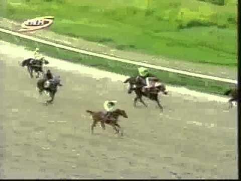 Resumen Viernes, 05 de Septiembre de 2014 - Valencia