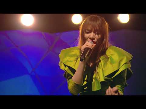 Zespół Sorry Boys wykonuje utwór Jesteś pragnieniem | Nowa Tonacja