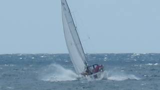 Marine Traffic - Sailing Boat - 20260512