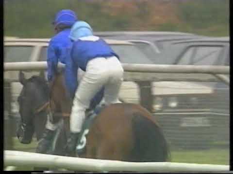 1996 Lockinge Stakes Soviet Line
