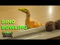 Dino Bowling Dino Dan Best Of Dino Kids