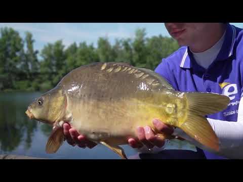 Benzar Mix No Limit Method Feeder 4.20m 100-250g