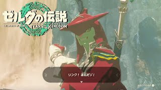 【ティアキン実況＃８】水の神殿をクリアする！シドが仲間に？そして空島探索へ【ゼルダの伝説】