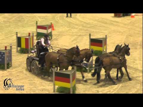 Koos DE RONDE   Winning Round   BORDEAUX 2016   FEI World Cup Final