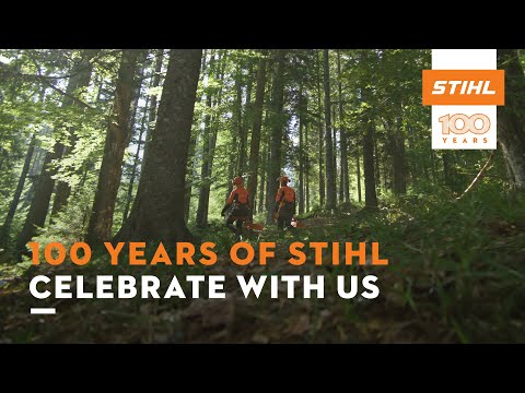 Full Range of STIHL Chainsaws in stock - Image 2
