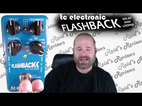 TC Electronic Flashback Delay & Looper 2014 - 2017 - Blue image 7