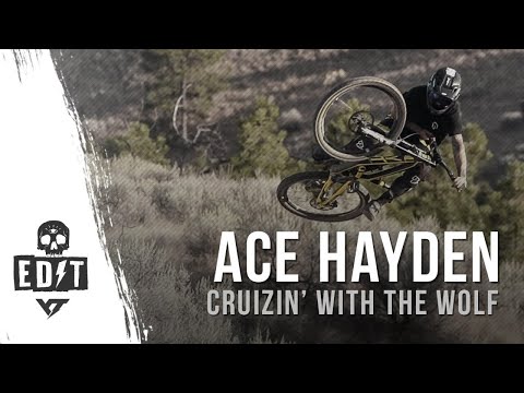 Ace Hayden - Cruizin' with the wolf