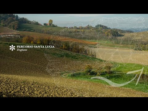 Passeggiate Gourmet - Dogliani