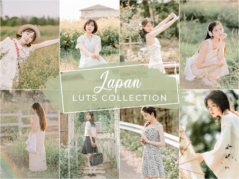 14 Japan Video LUTs | Japan LUTs | Instagram LUTs | Influencer LUTs | Travel LUTs