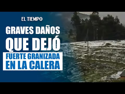 ¡La Calera en shock! Los devastadores daños de la intensa granizada en hogares y negocios