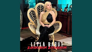 Zarardayım Ziyandayım