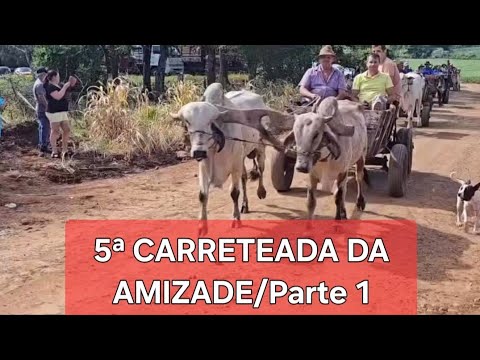 5ª CARRETEADA DA AMIZADE NA Linha Conceição Seberi RS/parte 1