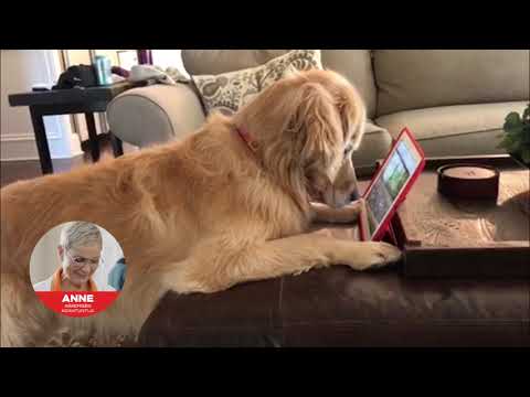 Onko ikänäkö iskenyt? Nyt monitehot yksitehojen hinnalla!