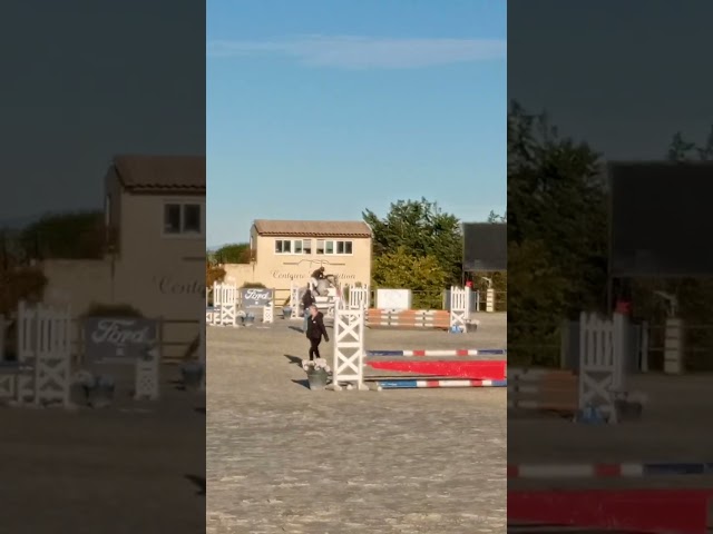 Cheval PRE 