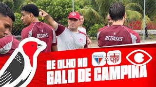DE OLHO NO GALO DE CAMPINA - FORTALEZA X CRB