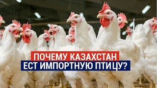 Почему Казахстан ест импортную птицу? 