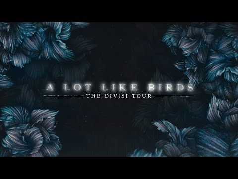 A Lot Like Birds - The DIVISI tour