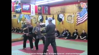 USA Goju 2010 "Shock Shove" Italy Tora Dojo