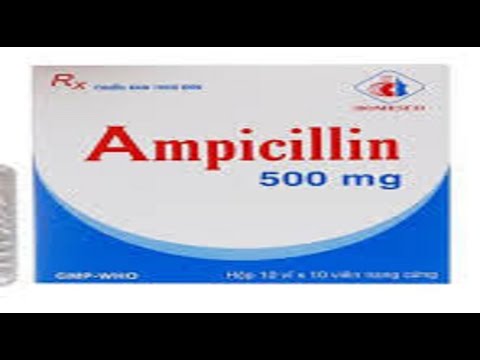 Ampicillin Uses, Dosage, and Precautions